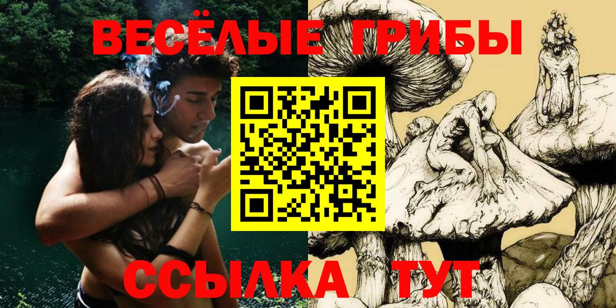 Галлюциногенные грибы Cubensis  Вход с VPN  Йошкар-Ола 